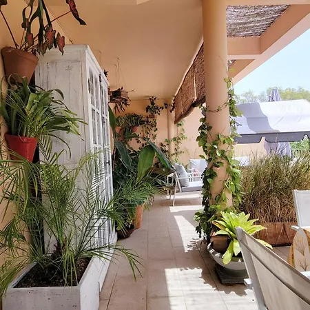 Un Pequeno Oasis En Apartment Marbella